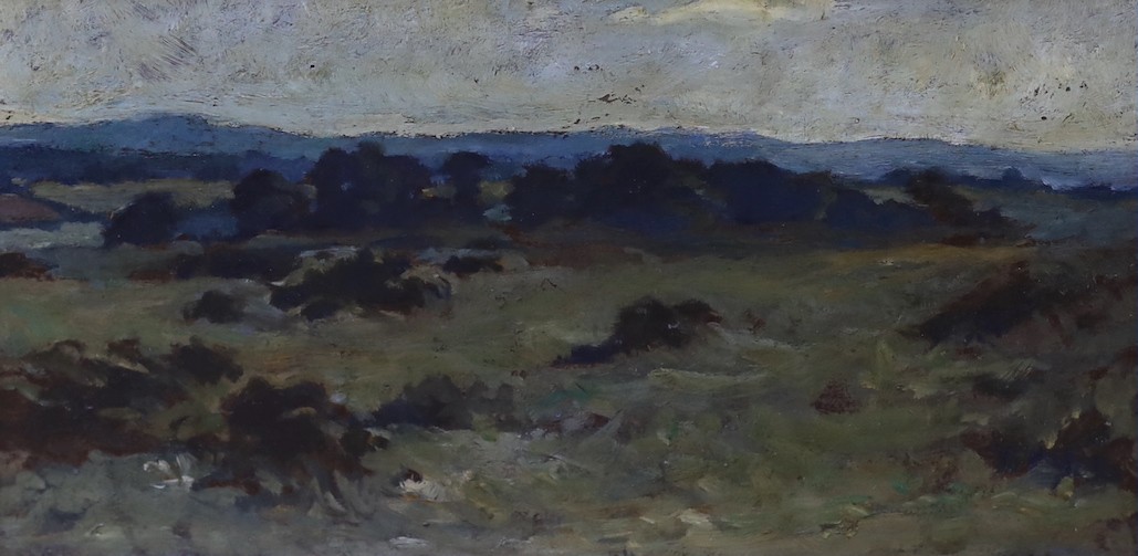 Early 20th century English School, oil on board, Landscape sketch, 15 x 30cm